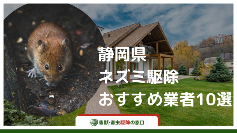 【最新版】静岡県で評判の良いネズミ駆除業者おすすめ10選-業者の選び方も徹底解説-