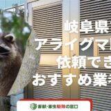 【2023年11月】岐阜県でアライグマ駆除を依頼できるおすすめ業者10選-作業内容と料金内訳も解説-