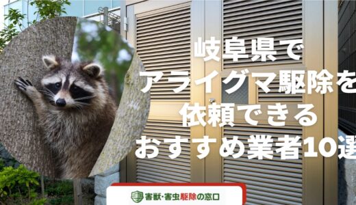 【最新版】岐阜県でアライグマ駆除を依頼できるおすすめ業者10選-作業内容と料金内訳も解説-
