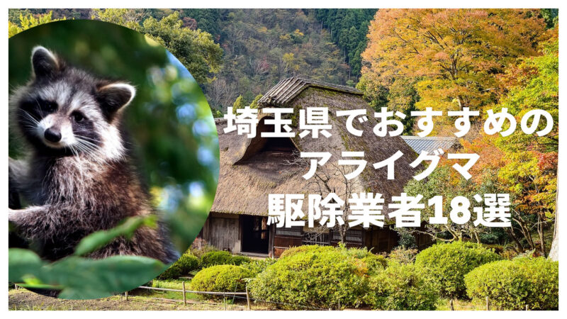 【最新版】埼玉県でおすすめのアライグマ駆除業者18選！業者の選び方やメリットなど詳しく紹介