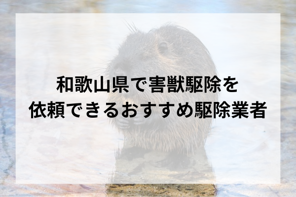 【最新版】和歌山県で害獣駆除を依頼できるおすすめ駆除業者10選