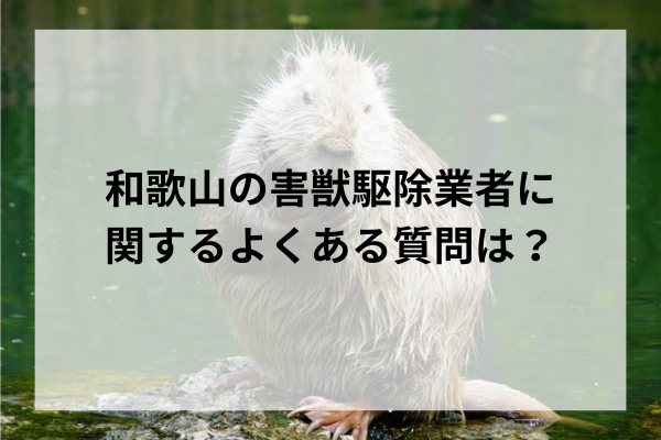和歌山の害獣駆除業者に関するよくある質問は？
