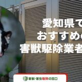 【2023年11月】愛知県でおすすめの害獣駆除業者15選-料金相場も徹底解説-