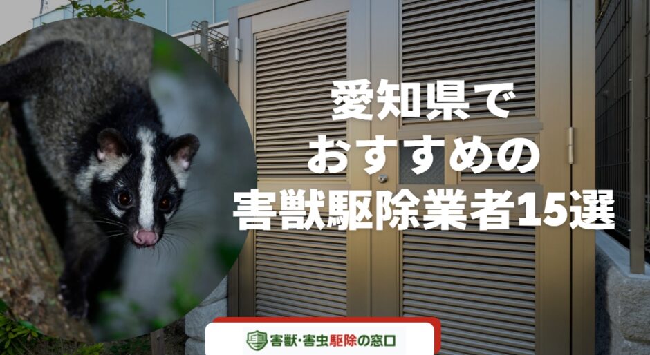 【2023年11月】愛知県でおすすめの害獣駆除業者15選-料金相場も徹底解説-
