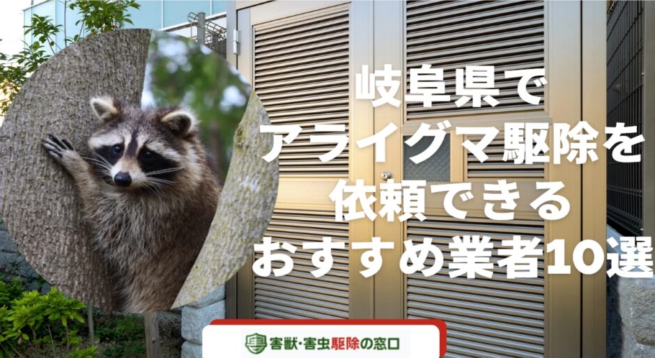 【2023年11月】岐阜県でアライグマ駆除を依頼できるおすすめ業者10選-作業内容と料金内訳も解説-