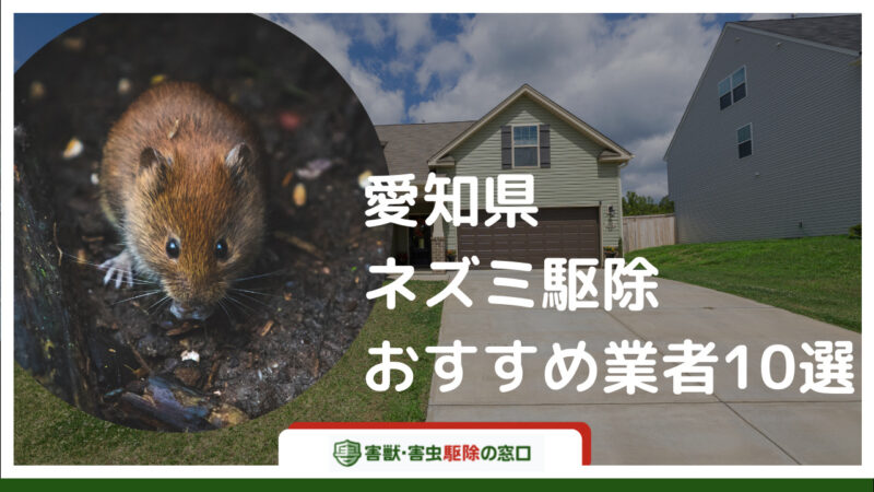 迅速で確実！愛知県でネズミ駆除を依頼するならこの害獣駆除業社に頼め！