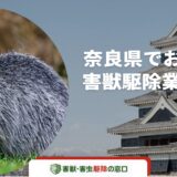 【2023年11月】奈良県でおすすめ害獣駆除業者17選！後悔しない選び方とは？