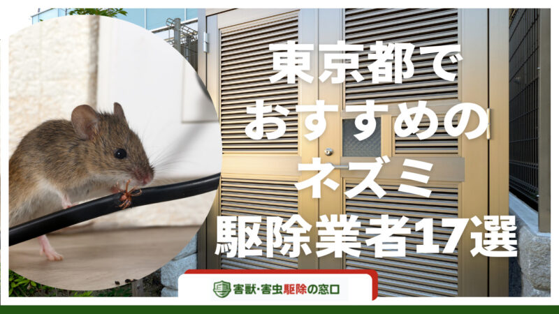 【最新】東京都でおすすめのネズミ駆除業者17選！サービス内容や業者の選び方などを詳しく紹介