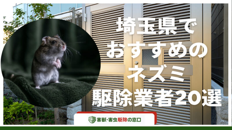 埼玉県でおすすめのネズミ駆除業者20選！選び方のコツやメリットなどを紹介