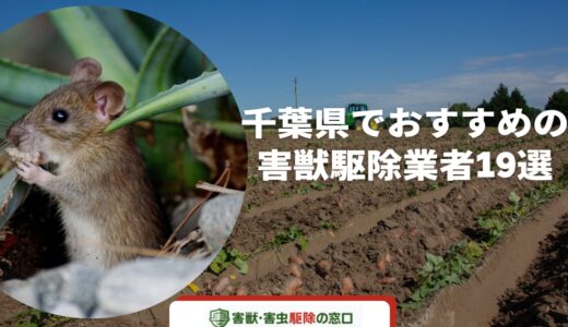 千葉県でおすすめの害獣駆除業者18選！依頼するメリットや選び方を紹介