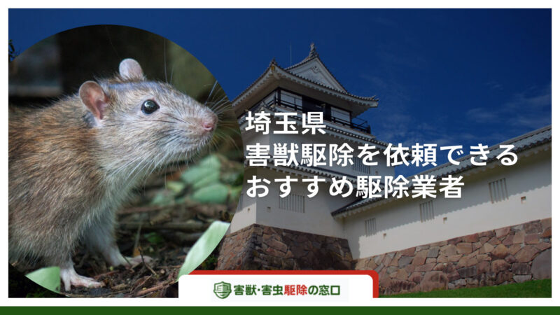 【最新版】埼玉県でおすすめの害獣駆除業者10社-選び方から費用相場まで解説-