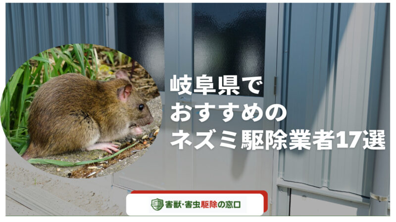 岐阜県でおすすめのネズミ駆除業者17選！駆除業者の選び方や口コミを詳しく紹介
