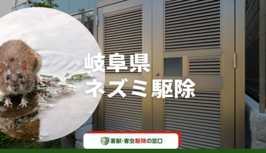 岐阜県で頼れるネズミ駆除業者11選｜ニーズ別に特徴やおすすめポイントを紹介