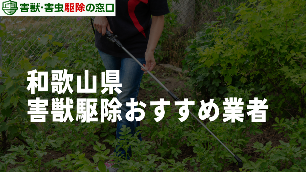 【最新版】和歌山県で害獣駆除を依頼できるおすすめ駆除業者10選
