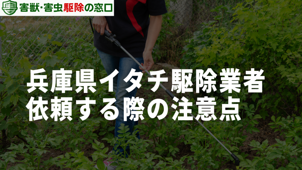 兵庫県でイタチ駆除を業者に依頼する際の3つの注意点