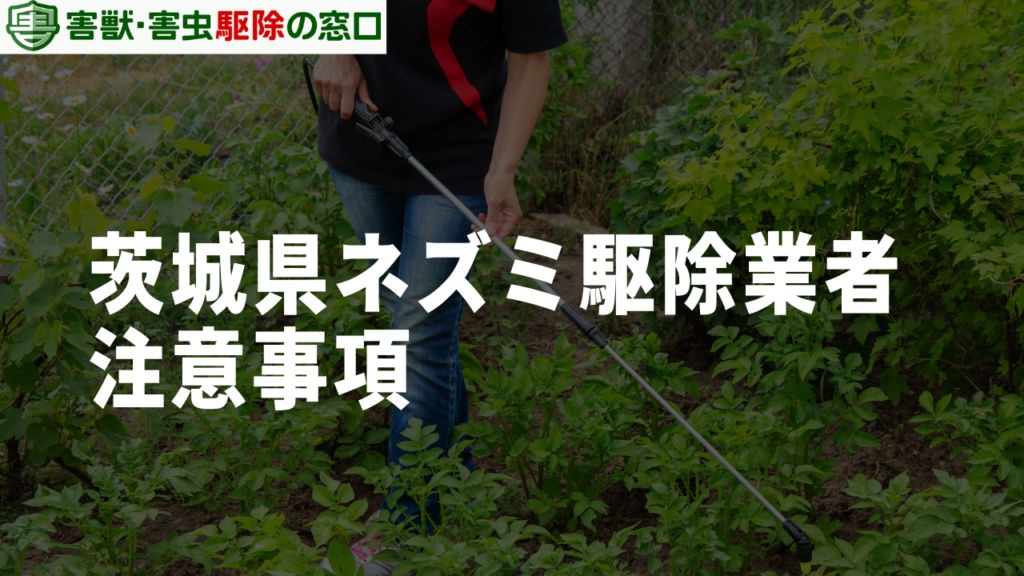 茨城県でネズミ駆除を業者にお願いする際の2つの注意事項