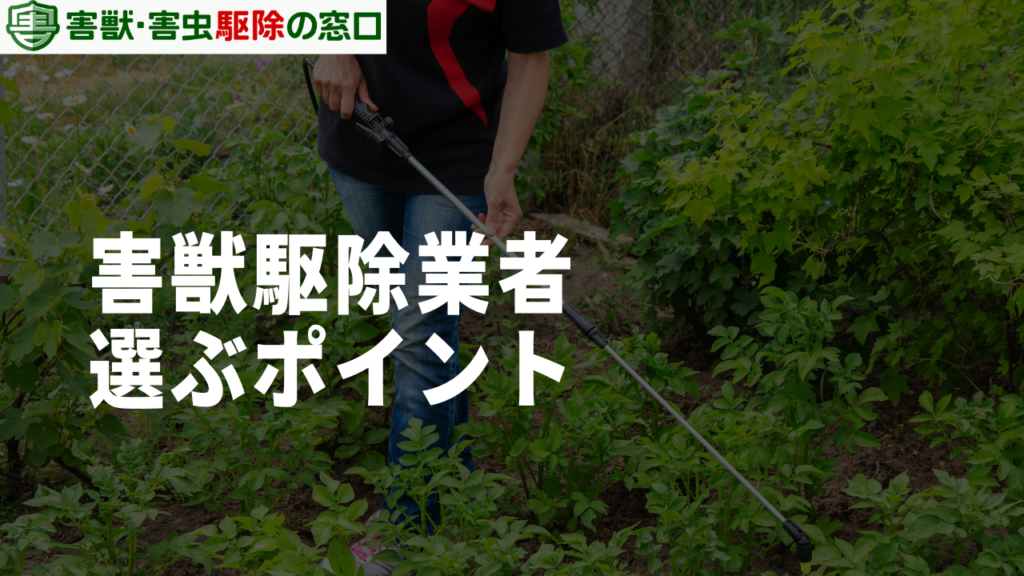 岐阜県で自分に合った害獣駆除業者を選ぶポイント