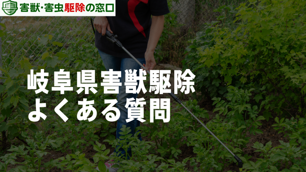 岐阜県の害獣駆除に関する4つのよくある質問