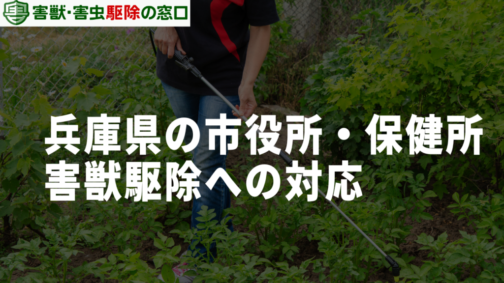 兵庫県の市役所・保健所の害獣駆除への対応