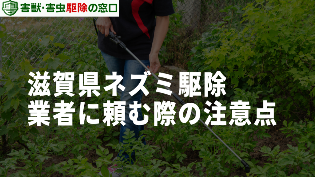 滋賀県のネズミ駆除を業者に依頼するデメリット