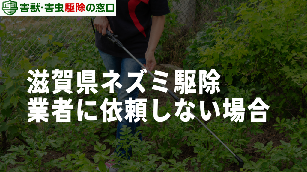 滋賀県のネズミ駆除は自分でも対応可能？