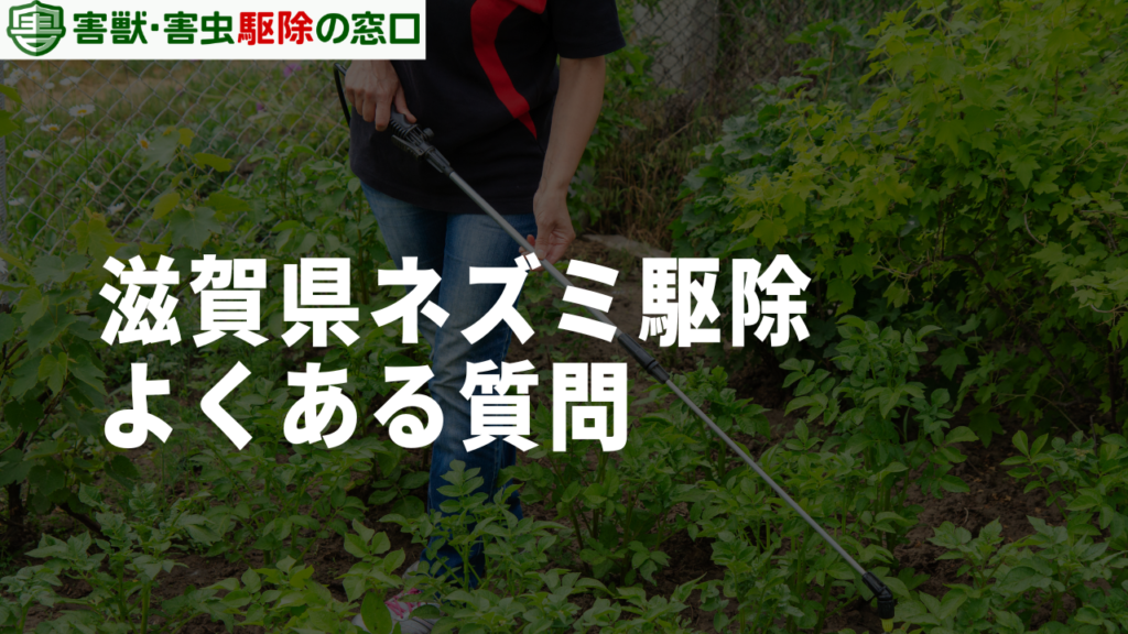 滋賀県のネズミ駆除に関する4つのよくある質問