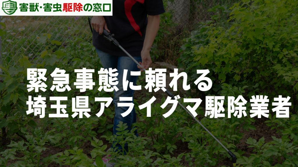 緊急事態に頼れる埼玉県のアライグマ駆除業者3選