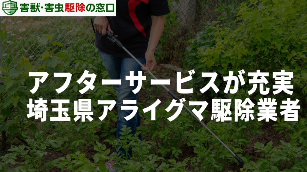 アフターサービスが充実した埼玉県のアライグマ駆除業者3選