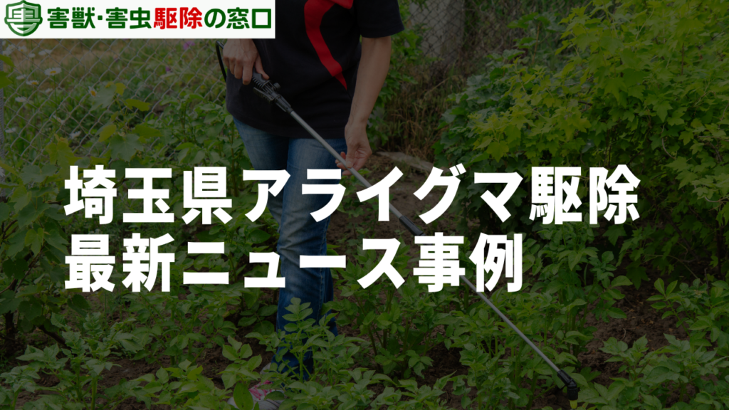 埼玉県のアライグマ駆除に関する最新ニュース事例