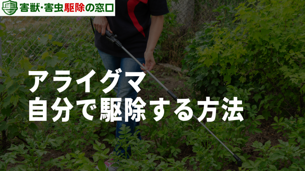 埼玉県でアライグマを自分で駆除する方法