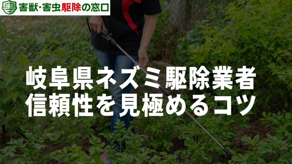 岐阜県で信頼性が高いネズミ駆除業者を見極めるコツ